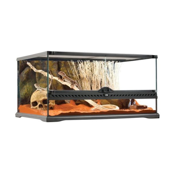 Exo Terra Terrario Cristal