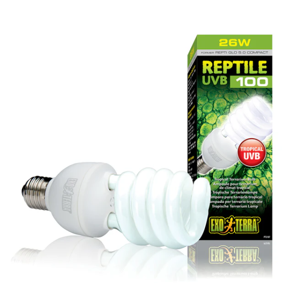 Exo Terra Reptile UVB 100 -Bombilla Bajo Consumo UVB - Imagen 4