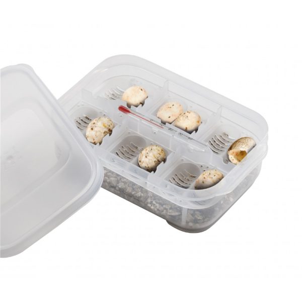 Exo Terra Caja Incubadora de Huevos - Imagen 2
