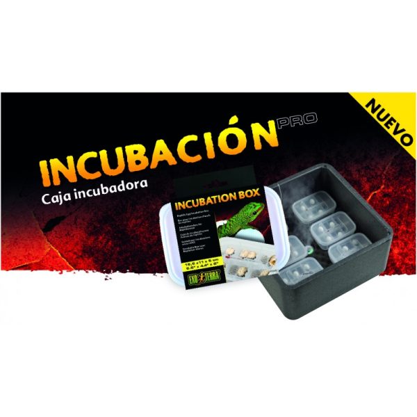 Exo Terra Caja Incubadora de Huevos - Imagen 3