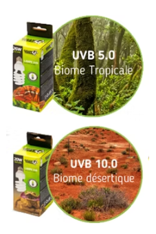 Gigan Terra Lámpara UVB - Iluminación UVB para Reptiles - Imagen 3