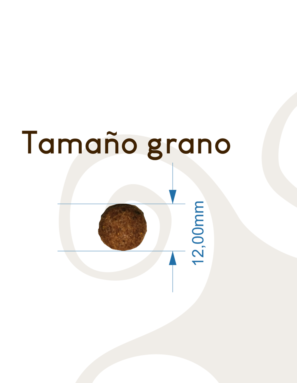 Lenda Senior / Mobility - Imagen 2