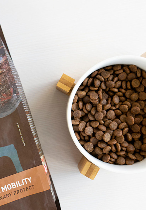 Lenda Senior / Mobility - Imagen 3