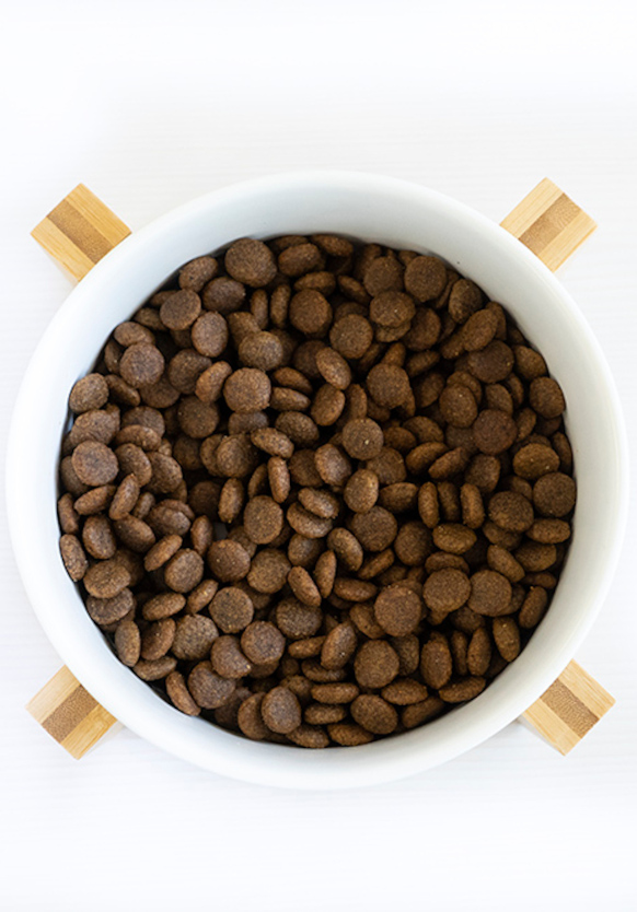 Lenda Senior / Mobility - Imagen 4