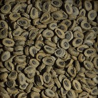 Sera Tortoise Adult Herbivore Duo Pellets - Alimento tortugas terrestres adultas - Imagen 2