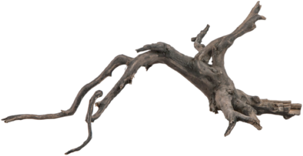Sera Scaper Root - Raiz de Filigrana Diferentes Tamaños - Imagen 3