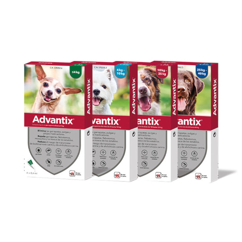 Advantix Pipetas Antiparasitarias para Perros - Imagen 2