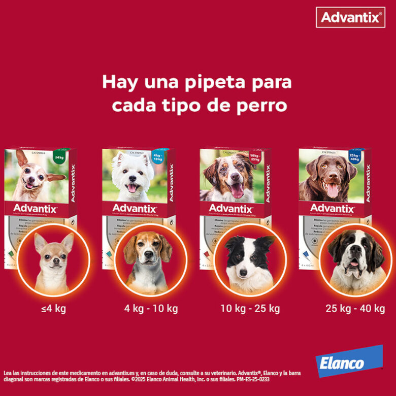 Advantix Pipetas Antiparasitarias para Perros - Imagen 3
