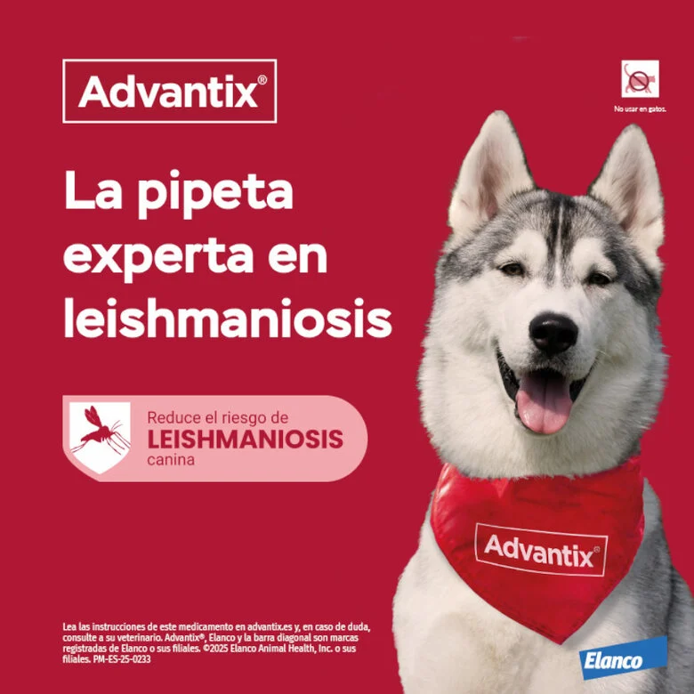 Advantix Pipetas Antiparasitarias para Perros - Imagen 5