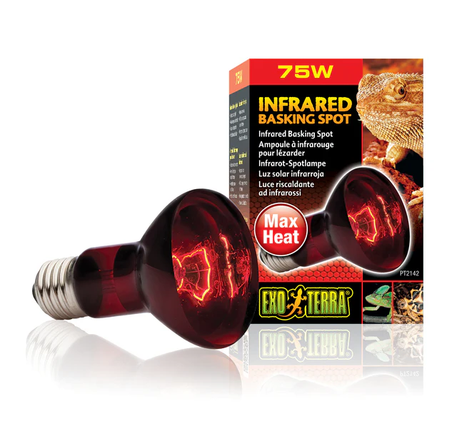 Exo Terra Infrared Basking Spot - Bombilla de Calor Infrarroja - Imagen 4