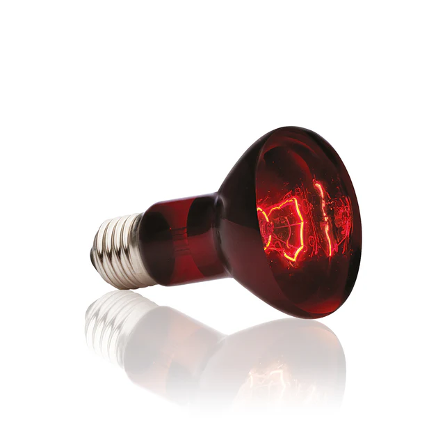 Exo Terra Infrared Basking Spot - Bombilla de Calor Infrarroja - Imagen 3