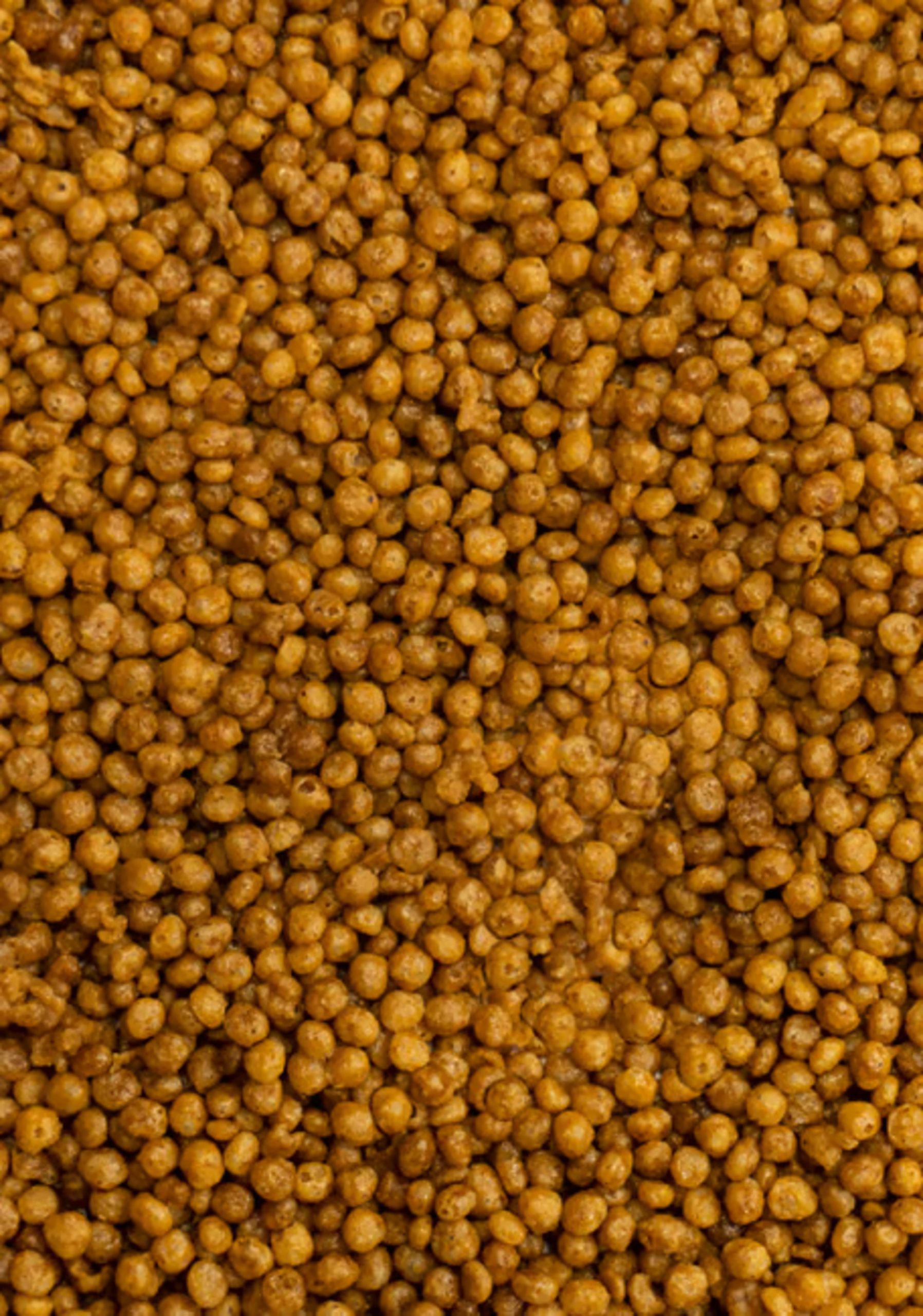 Pisttacus Wet & Dry Microspheres - Pienso Completo Psitacidas Pequeñas y Medianas - Imagen 2