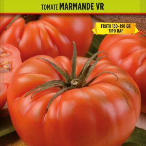 Batlle Semillas de Tomate Marmade VR Holanda - 3 Bolsitas