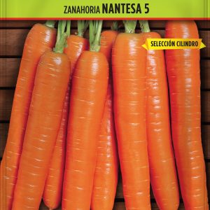 Batlle Semillas de Zanahoria Nantesa 5 S. Cilindro - 3 Bolsitas