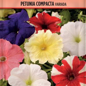 Batlle Semillas de Petunia Compacta Variada - 3 Bolsitas