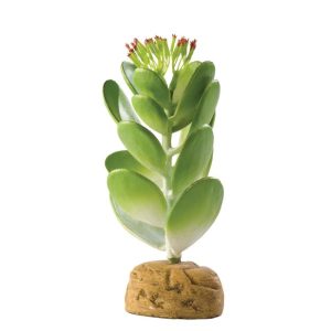 Exo Terra Cactus Artificial Jade - Planta Artificial Cactus Jade