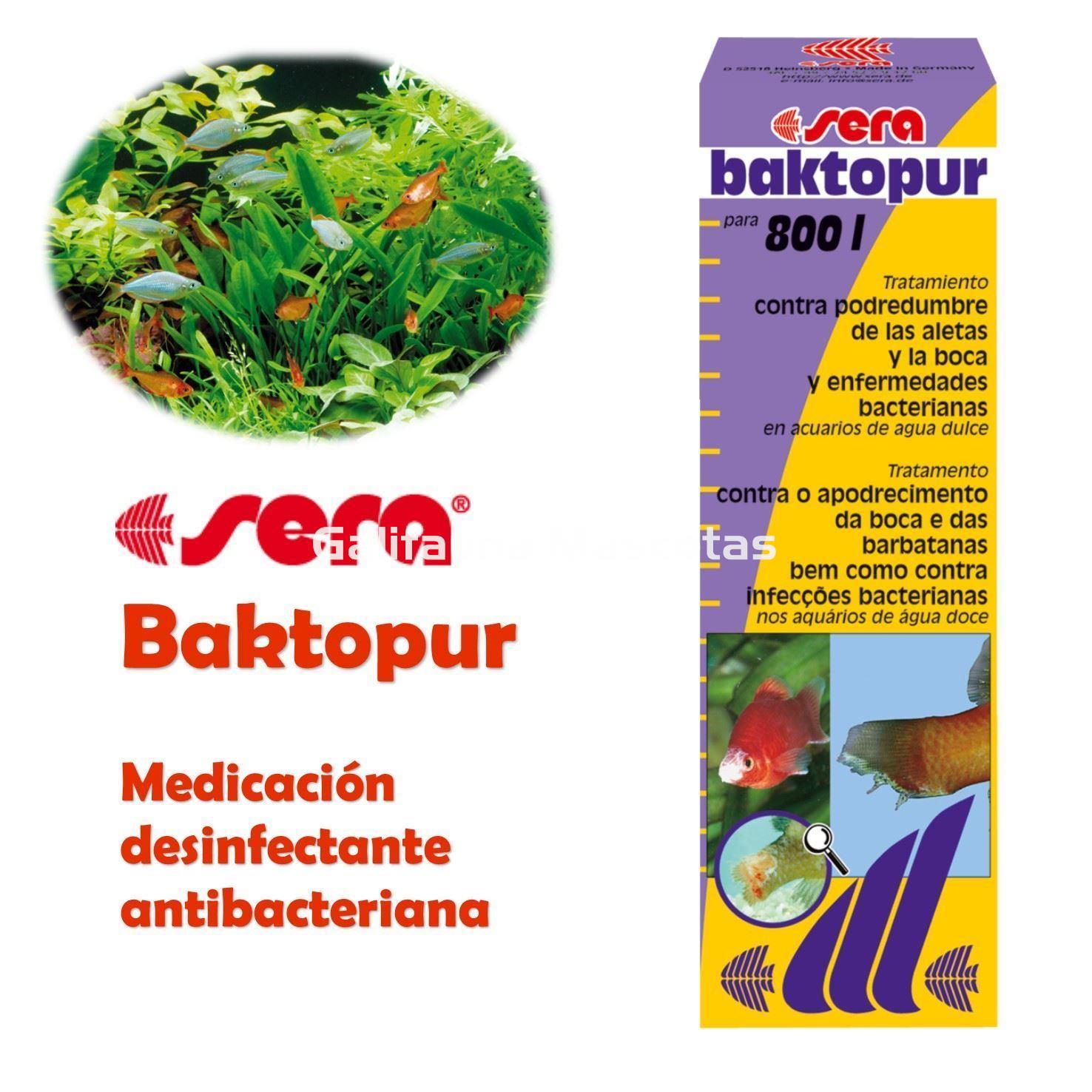 Sera baktopur 800 l (50 ml) - Tratamiento de agua contra infecciones bacterianas