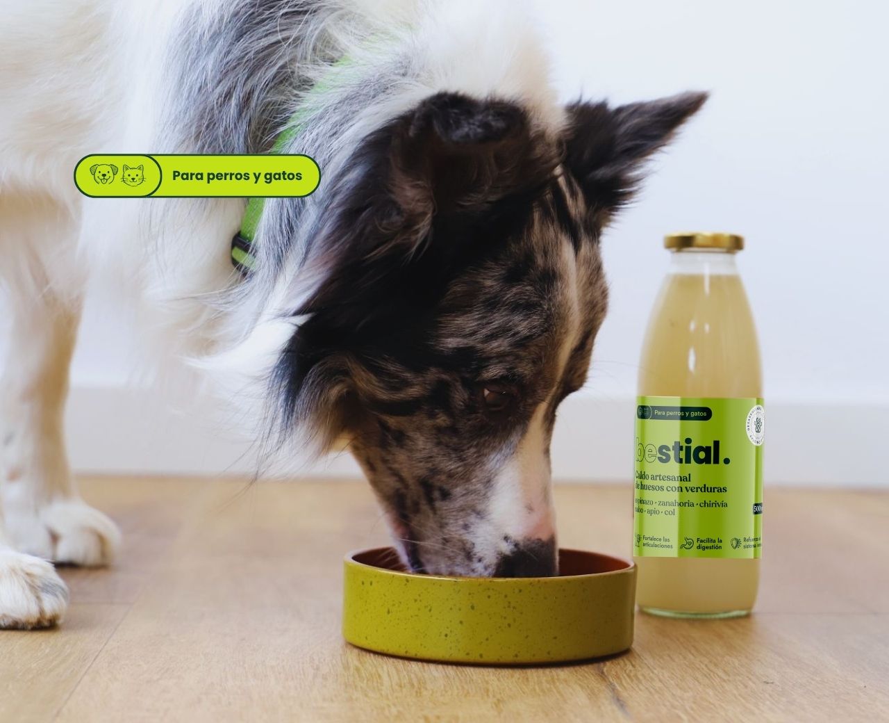 Bestial Menu Caldo Artesanal de Huesos y Verduras - Caldo Natural de Huesos y Verduras para Perros y Gatos - 500 ml - Imagen 2